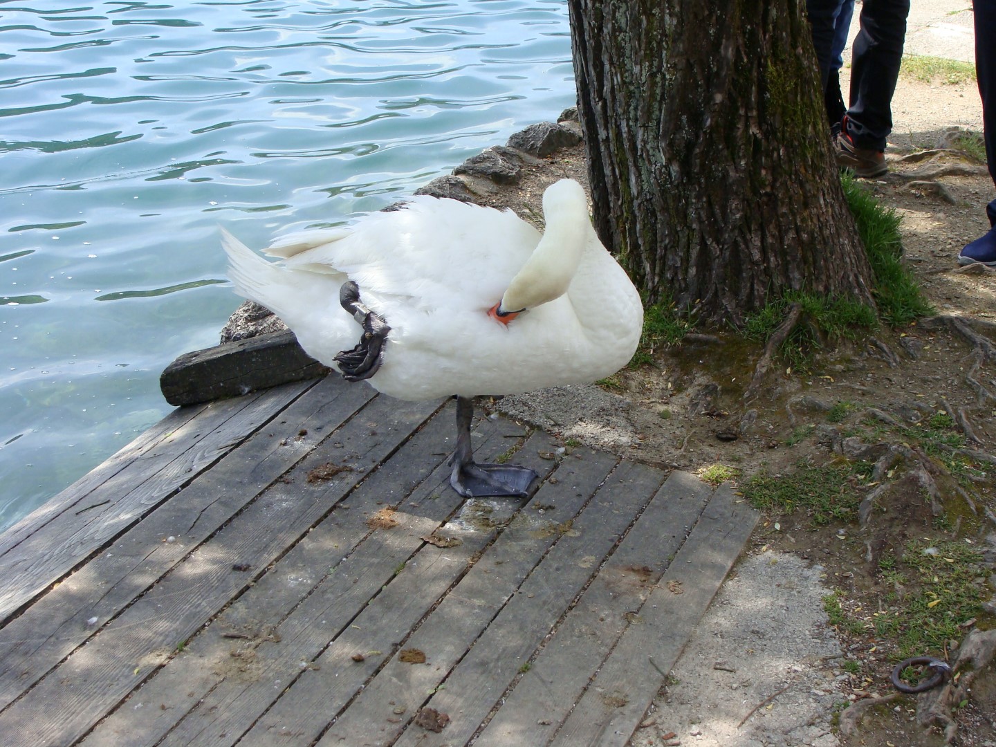 2016-05-26 bis 29 Frhjahrsausfahrt Bled